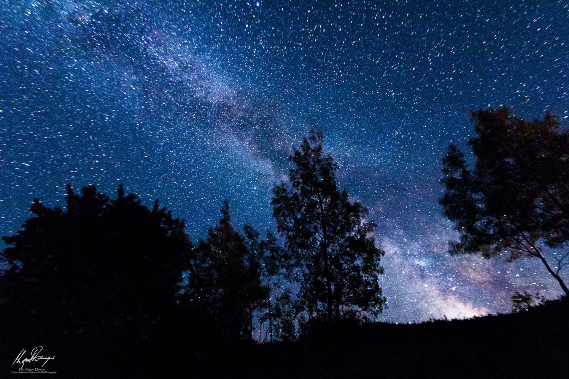 Milky Way over Union Bay